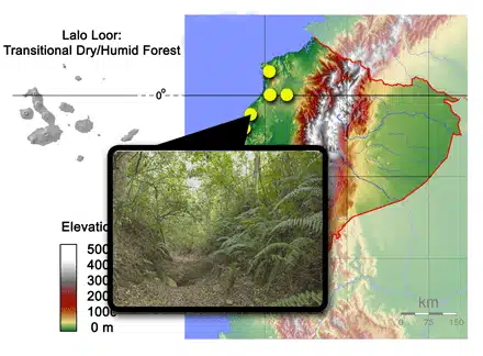 Lalo_Loor_ecuador_map_3