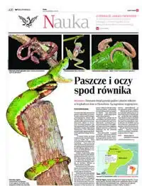 RZECZPOSPOLITA (Poland)
