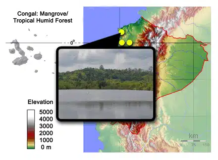 congal_ecuador_map_6