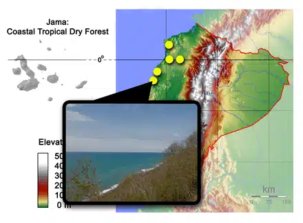 jama_map_ecuador_map_2