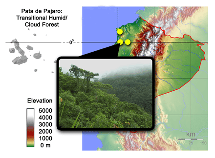 pata_de_pajaro_ecuador_map_4