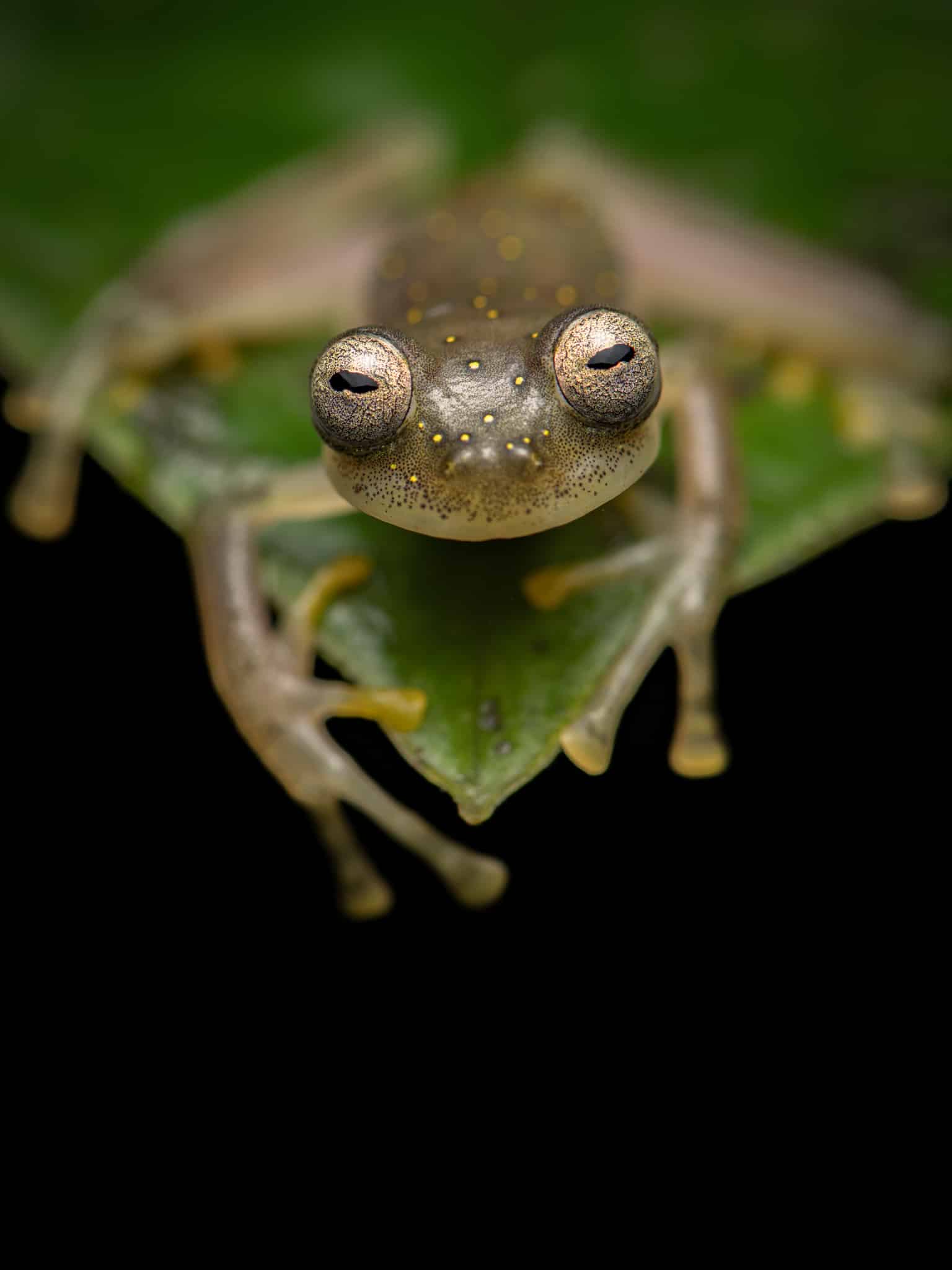 Ecuador | The Biodiversity Group