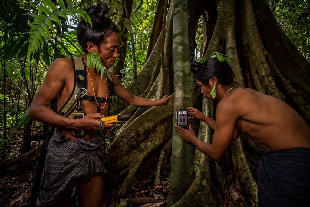 Traditional Scientists
